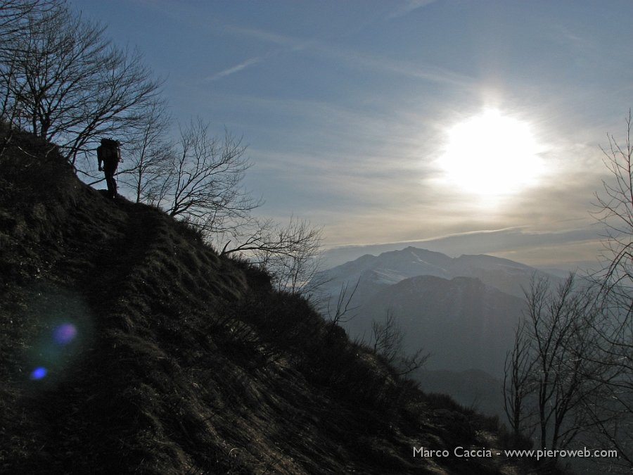 03_Sentiero controluce.jpg